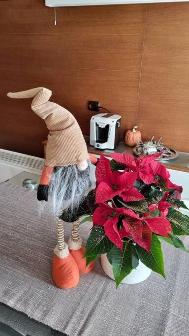 בורובץ Bh & Semiramida Ski Apartment מראה חיצוני תמונה