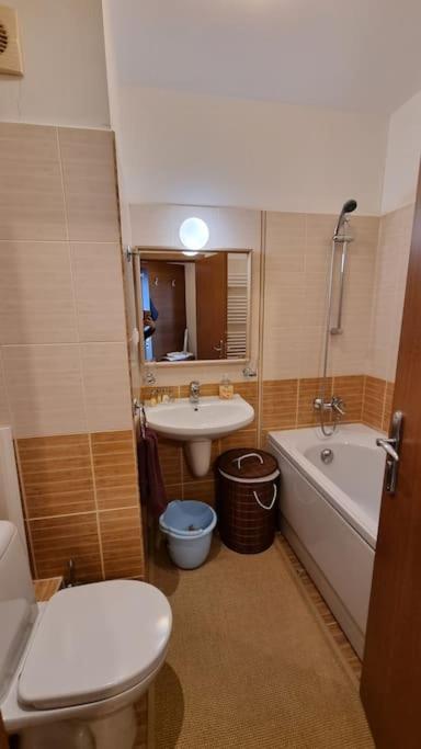 בורובץ Bh & Semiramida Ski Apartment מראה חיצוני תמונה
