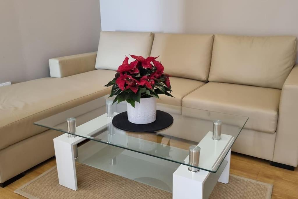 בורובץ Bh & Semiramida Ski Apartment מראה חיצוני תמונה