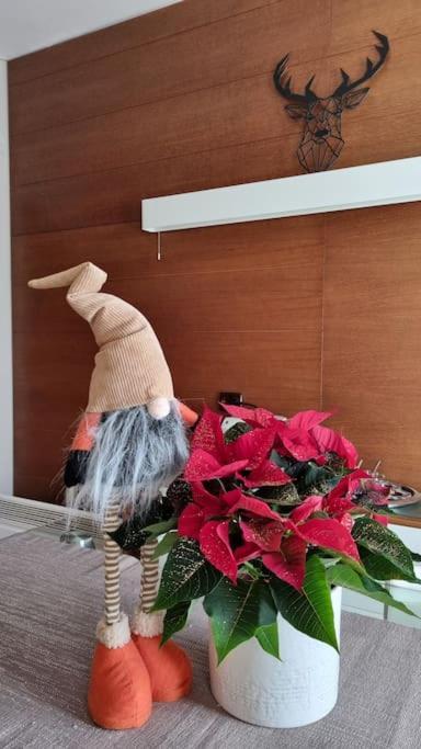 בורובץ Bh & Semiramida Ski Apartment מראה חיצוני תמונה